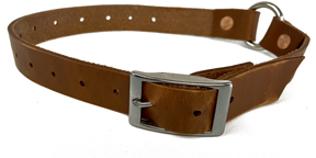 Dog Collar